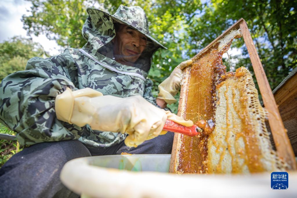 新版宝马棋牌